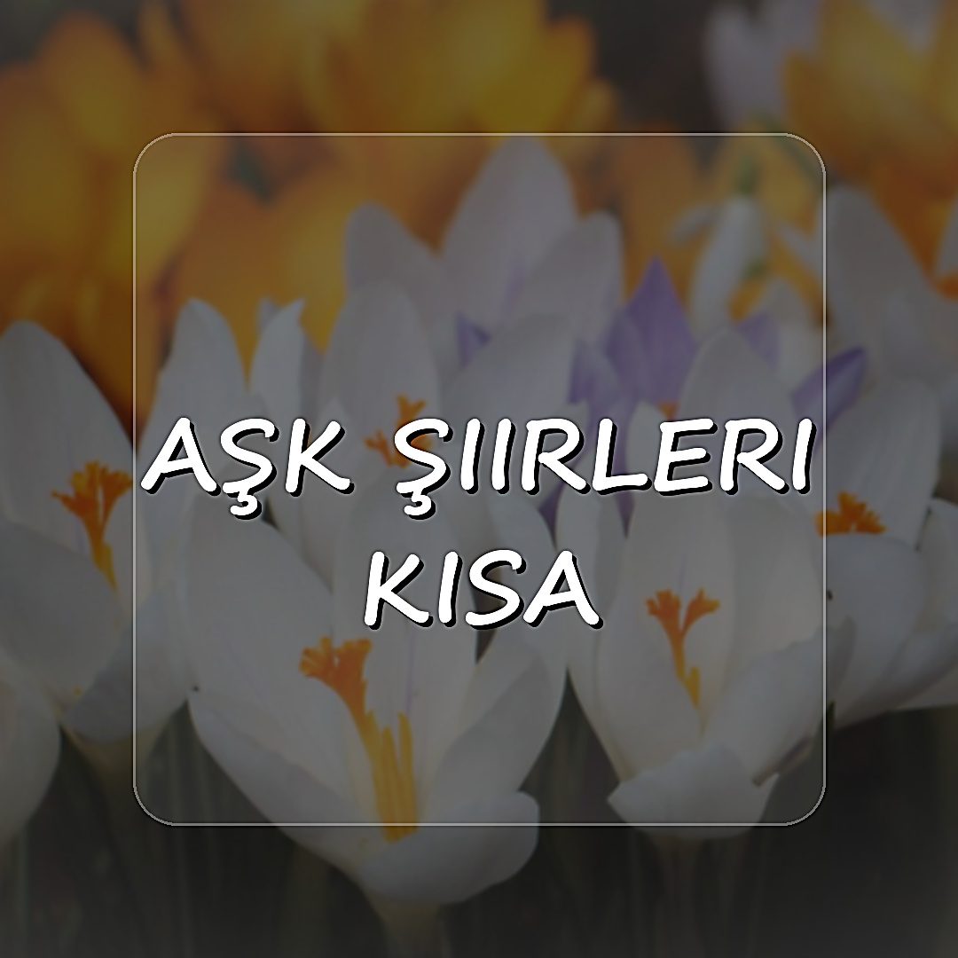 aşk şiirleri kısa - 2026