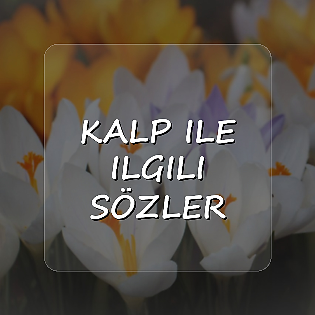 kalp ile ilgili sözler - 2026